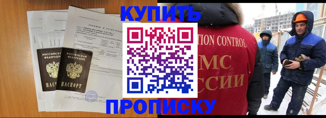 прописка для школы в Щёлково